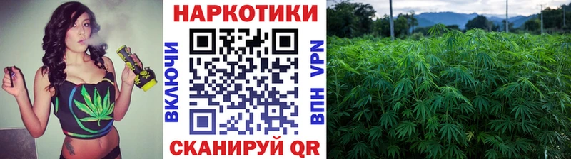 Все наркотики Талдом Кокаин  Альфа ПВП  ГАШ  Псилоцибиновые грибы  Меф  МАРИХУАНА 