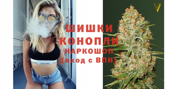прущий лед Арсеньев