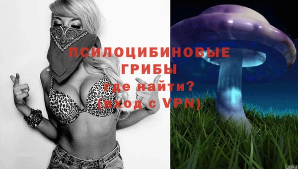 a pvp Протвино