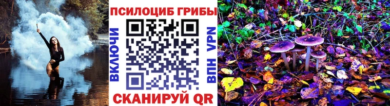 Псилоцибиновые грибы Psilocybe  Талдом 